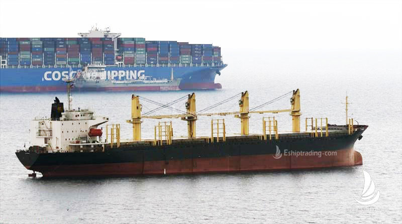 28407 T Timber Carrier For Sale