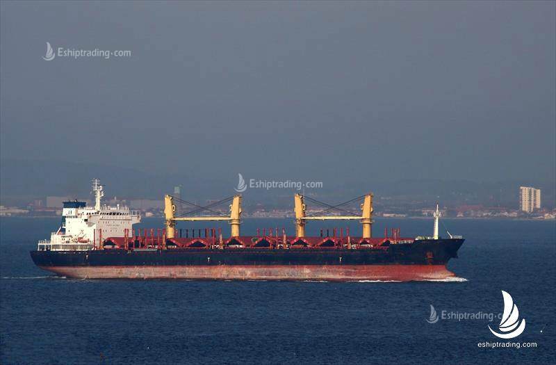 35217 T Bulk Carrier For Sale