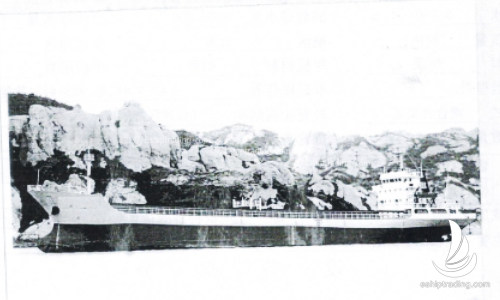 5000 T Bulk Carrier For Sale