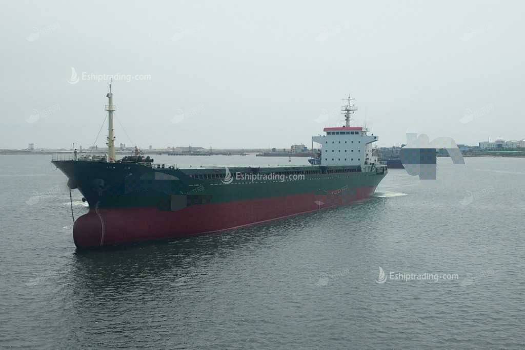 700 TEU Container Ship For Sale