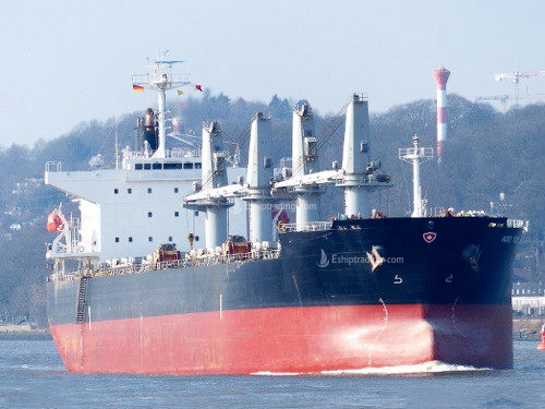 55693 T Bulk Carrier For Sale