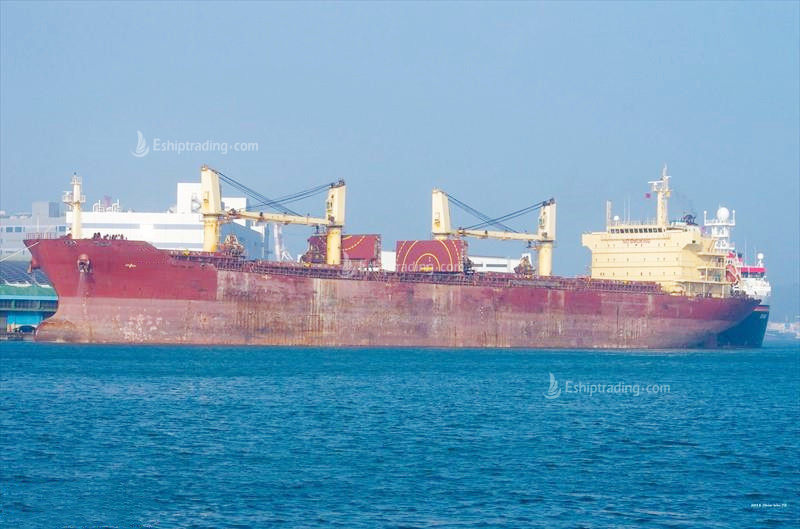 53477 T Bulk Carrier For Sale
