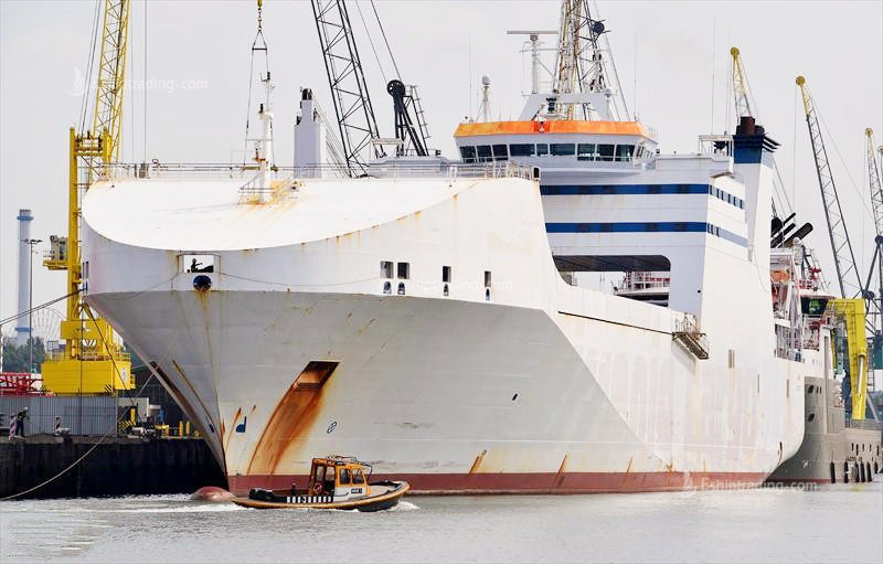 173 Trailers RORO For Sale