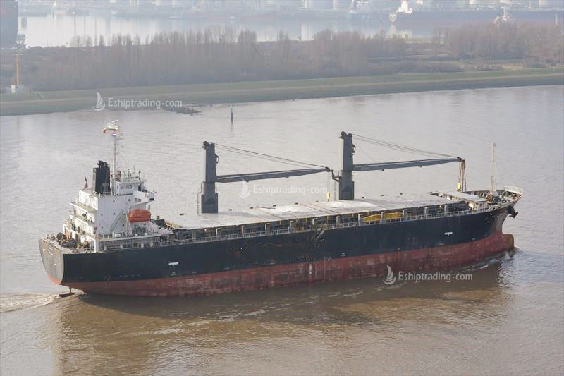 16956 T MPP For Sale