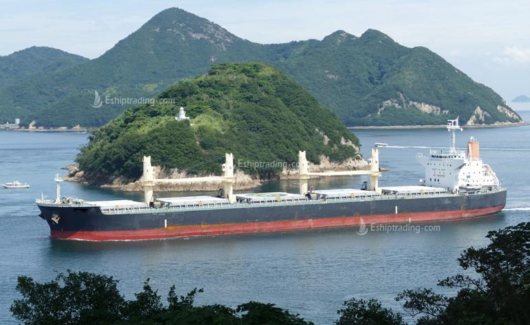 56064 T Bulk Carrier For Sale