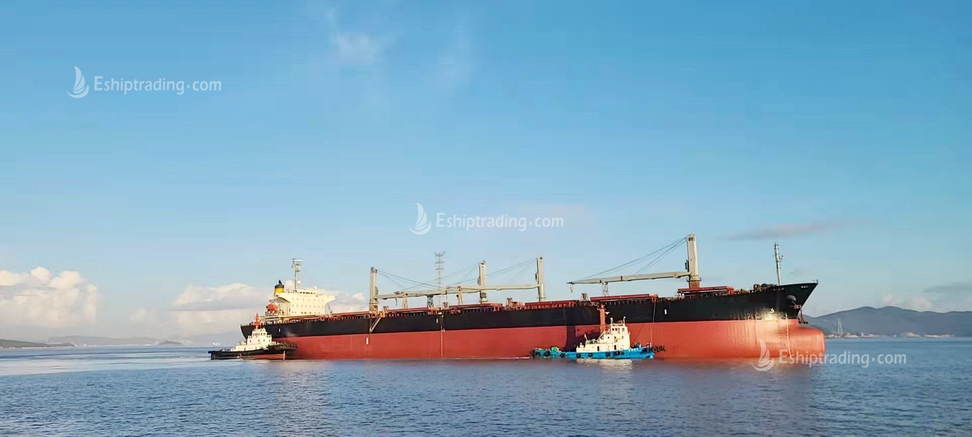 69163 T Bulk Carrier For Sale