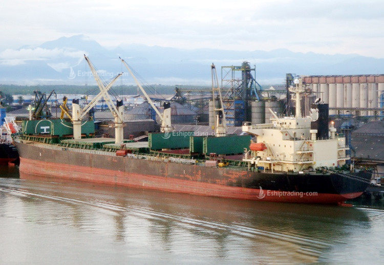 53842 T Bulk Carrier For Sale