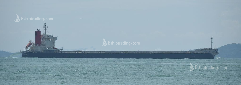 82000 T Bulk Carrier For Sale