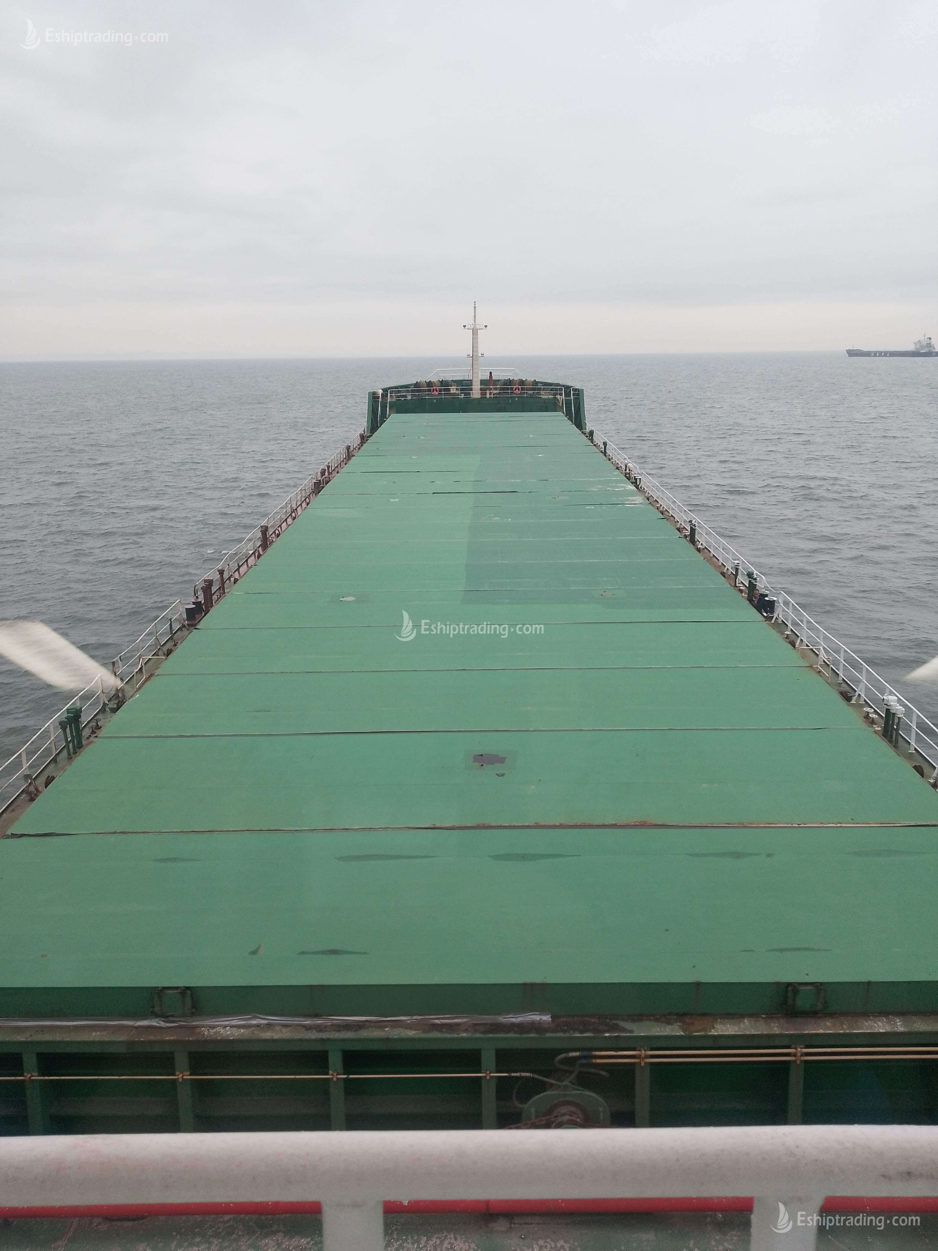 9863 T Bulk Carrier For Sale