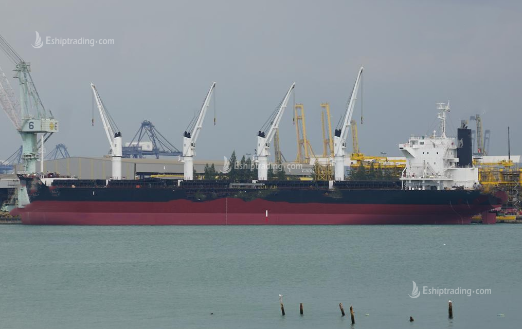 38300 T Bulk Carrier For Sale