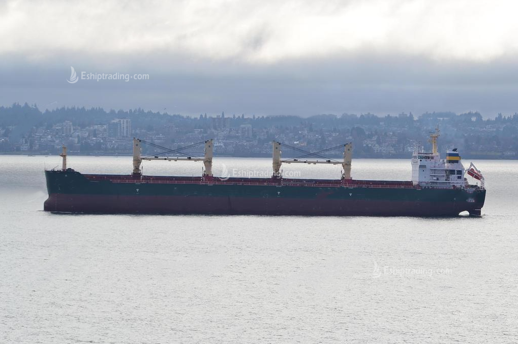 56730 T Bulk Carrier For Sale