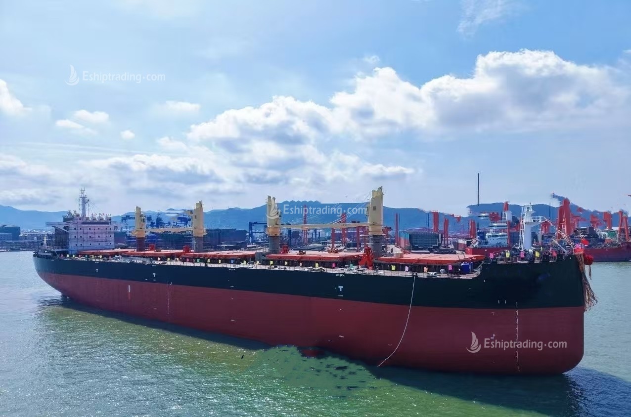 63850 T Bulk Carrier For Sale