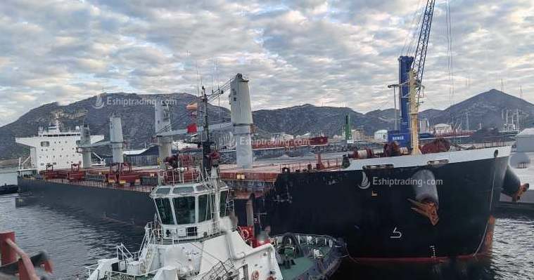 61358 T Bulk Carrier For Sale