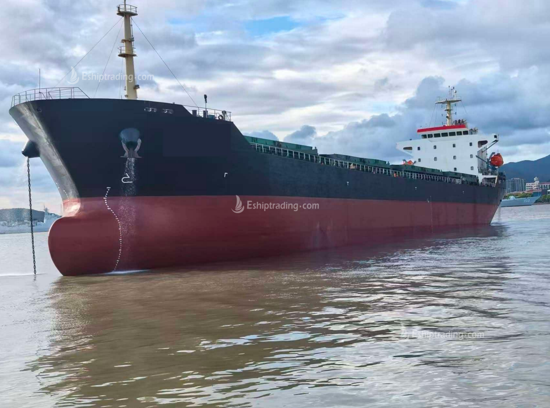 21863 T Bulk Carrier For Sale