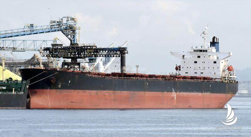 73865 T Bulk Carrier For Sale