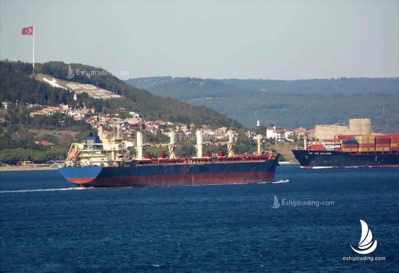 56708 T Bulk Carrier For Sale