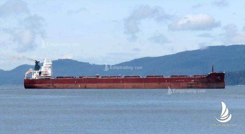 81199 T Bulk Carrier For Sale