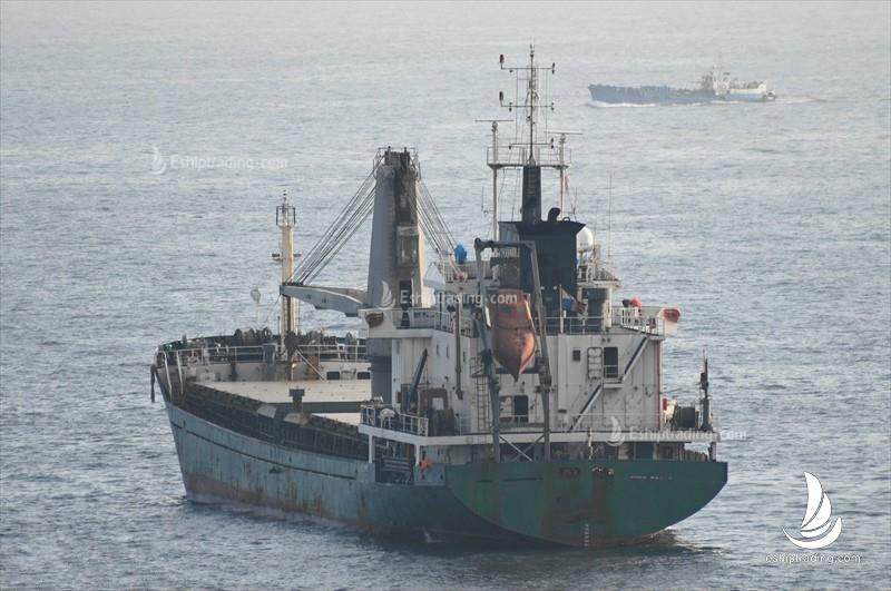 6100 T General Cargo Vessel For Sale