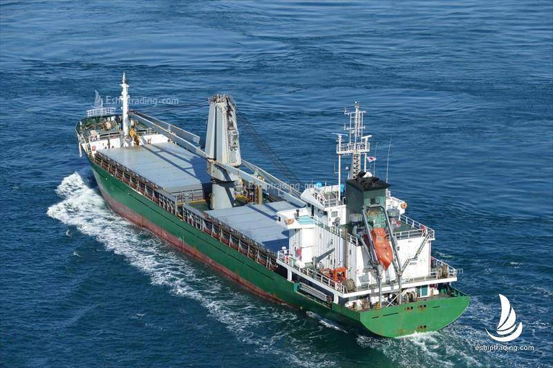 6100 T General Cargo Vessel For Sale
