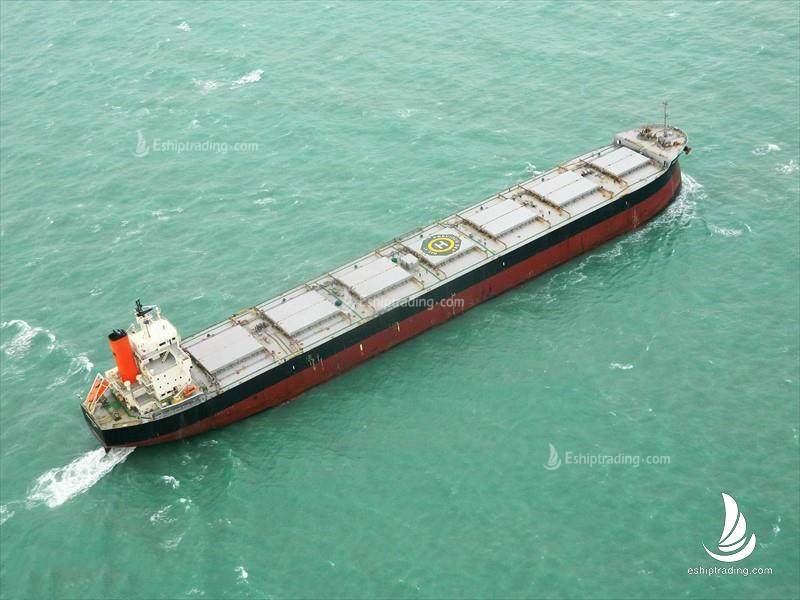 81893 T Bulk Carrier For Sale