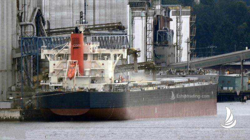 81893 T Bulk Carrier For Sale