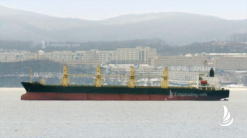 28407 T Timber Carrier For Sale
