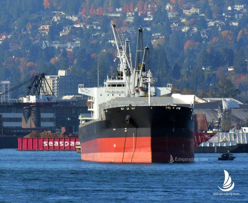 60220 T Bulk Carrier For Sale