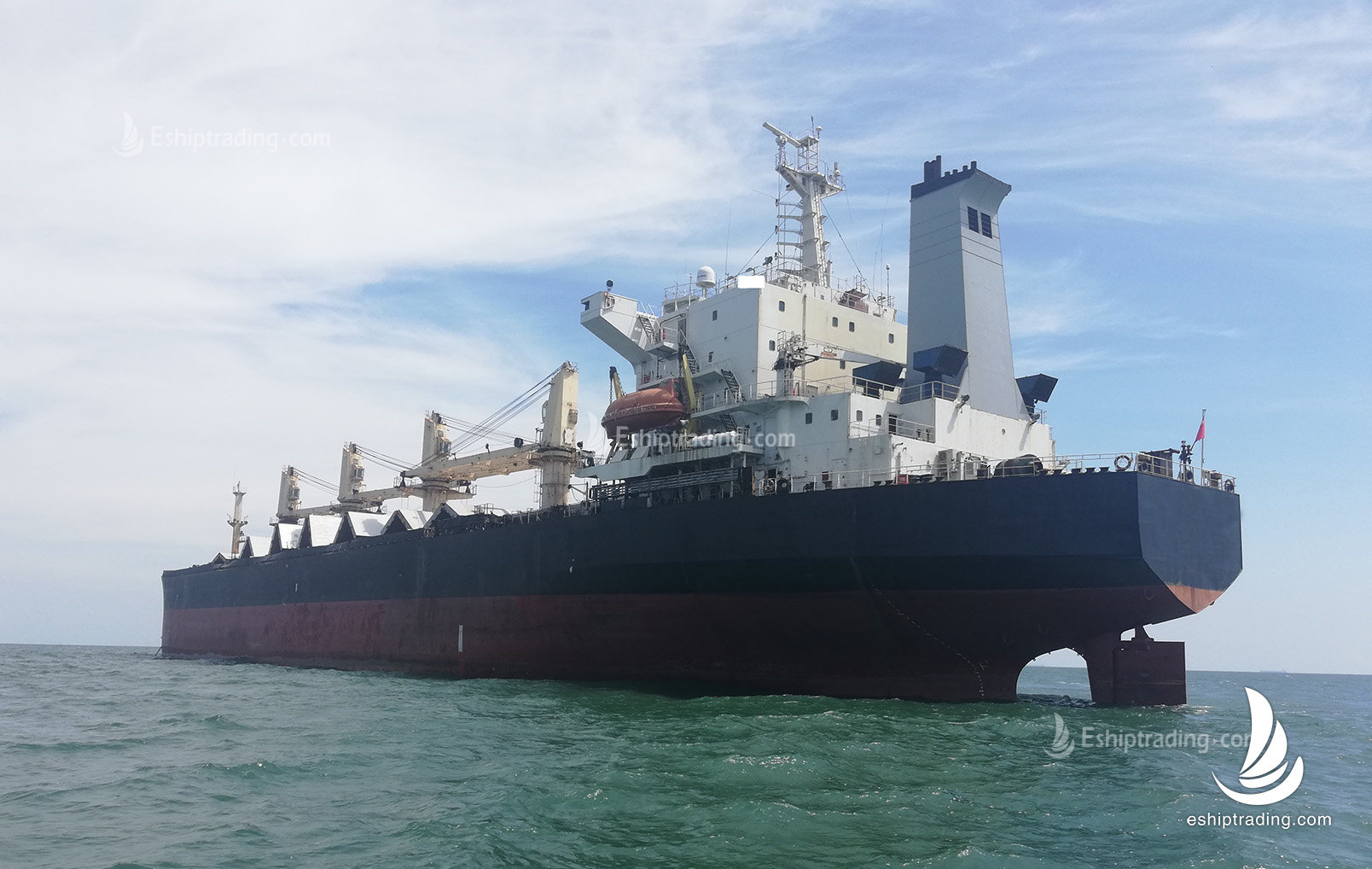 43216 T Bulk Carrier For Sale