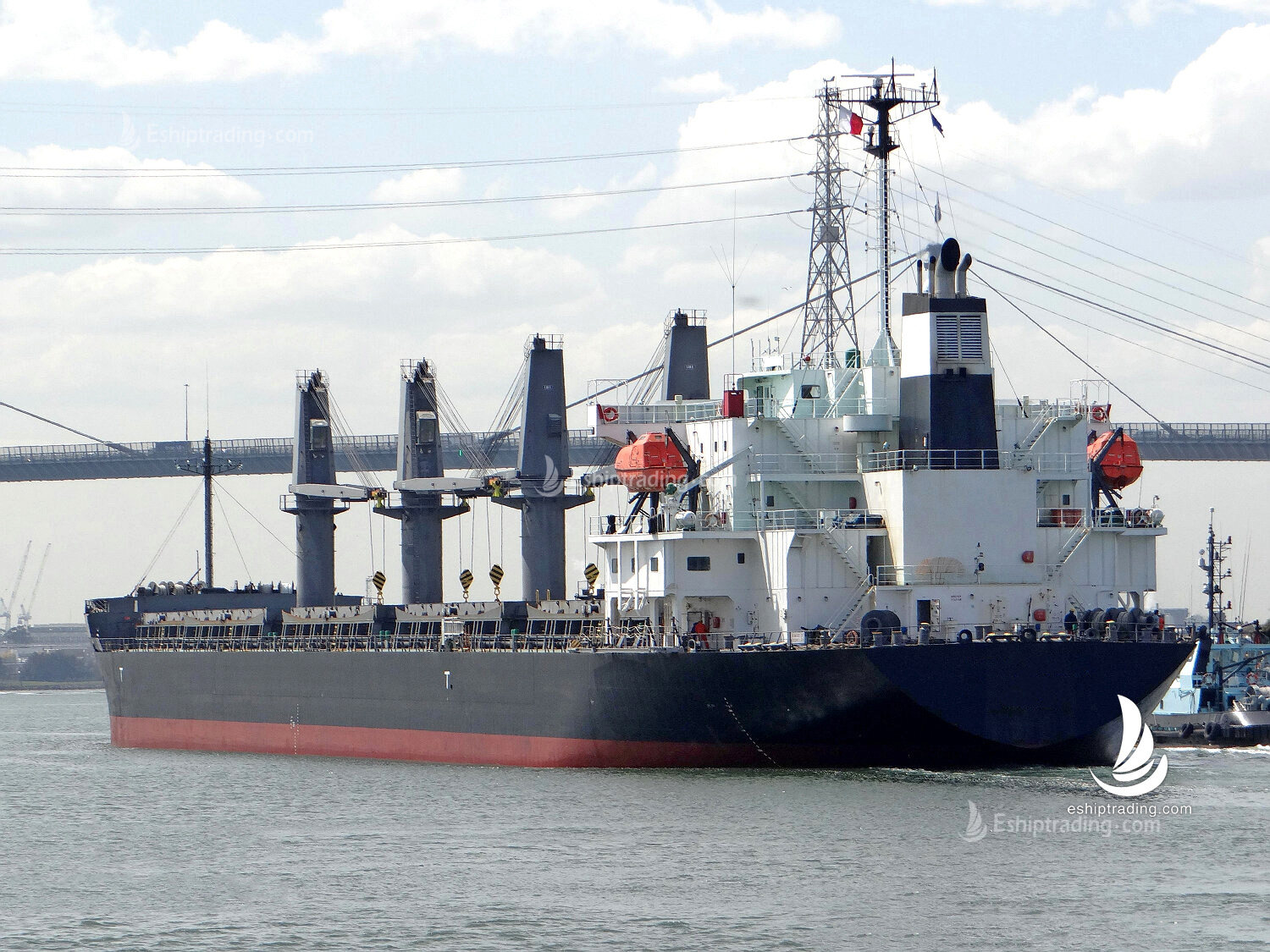 35065 T Bulk Carrier For Sale