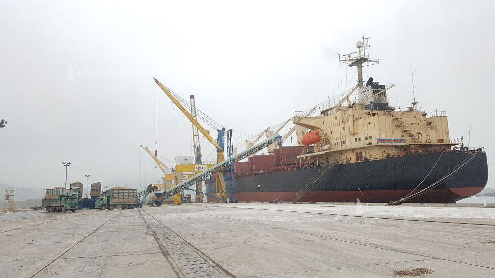 46644 T Bulk Carrier For Sale