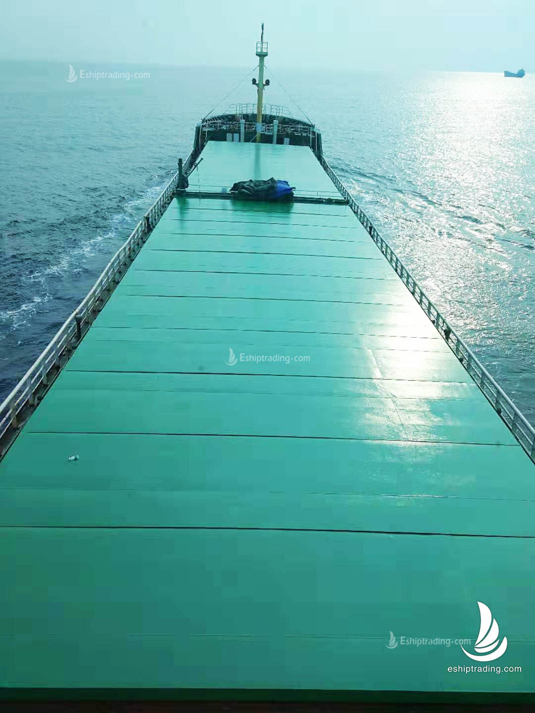 4500 T Bulk Carrier For Sale