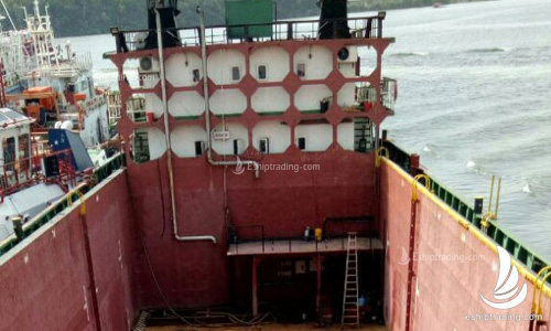 1100 T Container For Sale