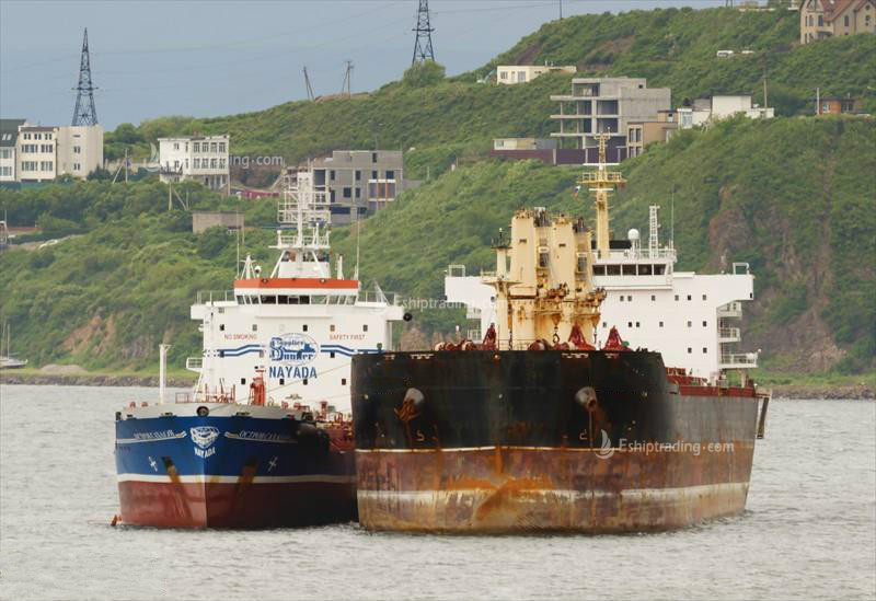 56830 T Bulk Carrier For Sale