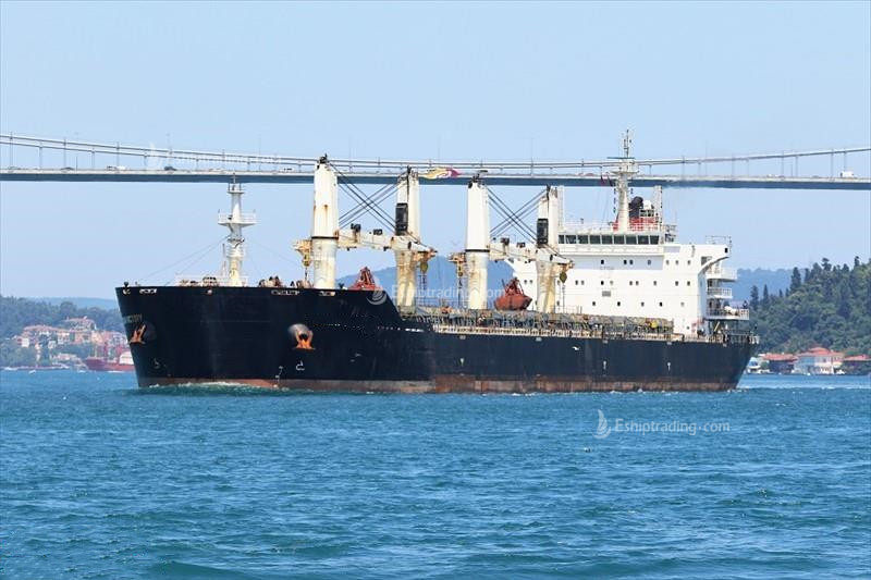 56692 T Bulk Carrier For Sale