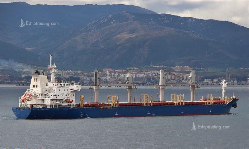 30003 T Bulk Carrier For Sale