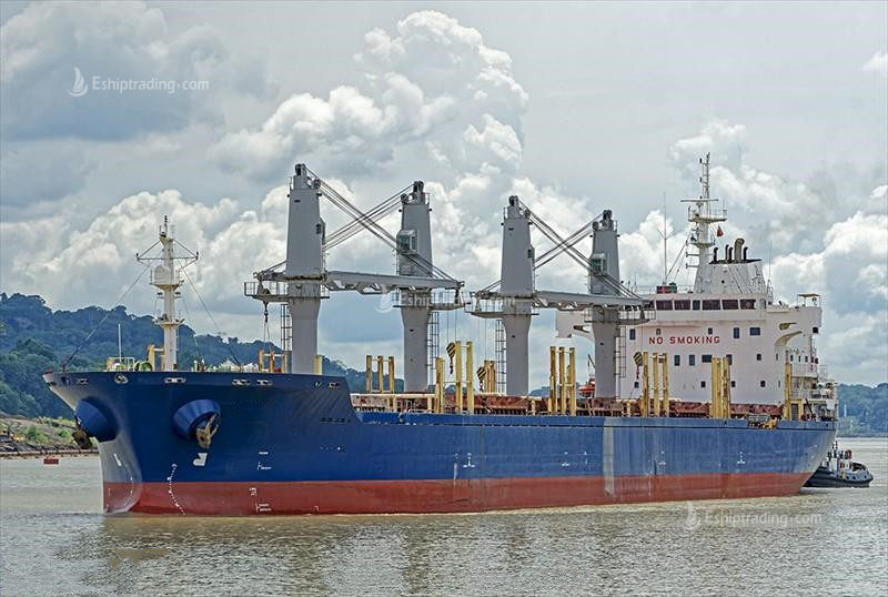 30003 T Bulk Carrier For Sale