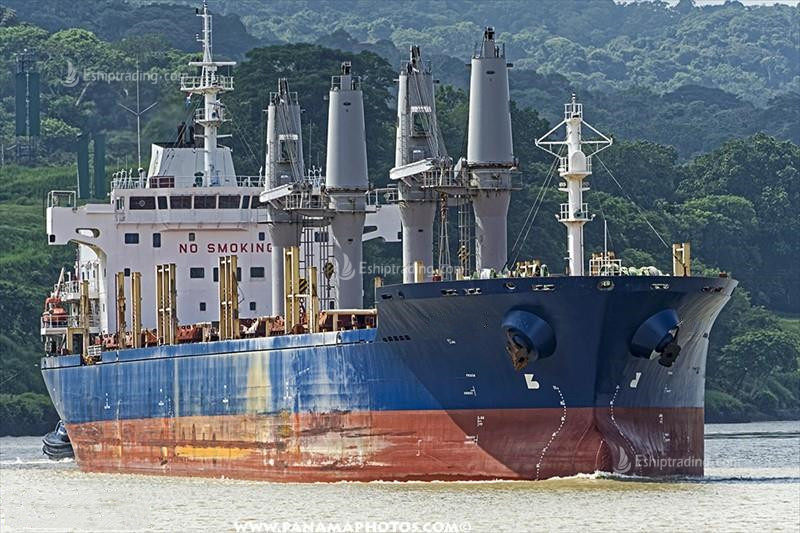 30003 T Bulk Carrier For Sale