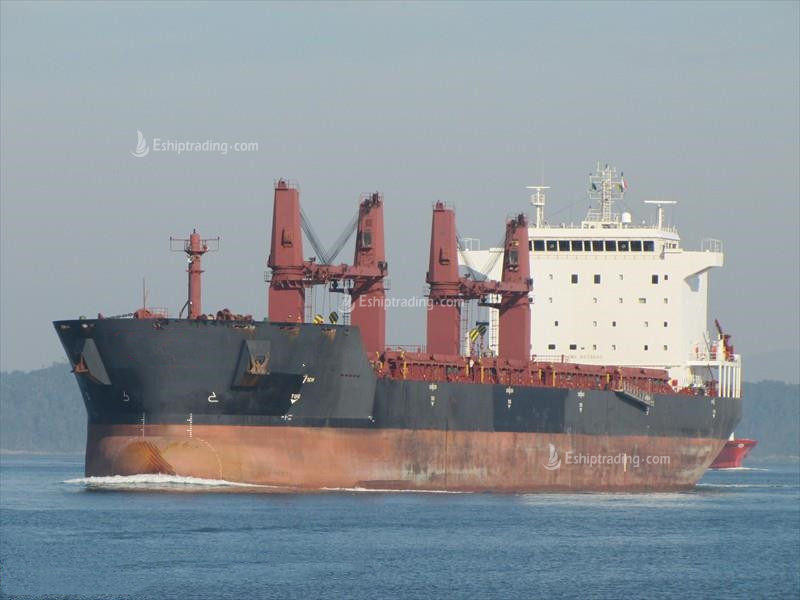 53390 T Bulk Carrier For Sale