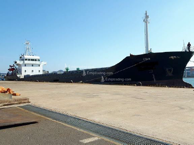 3302 T General Cargo Ship For Sale
