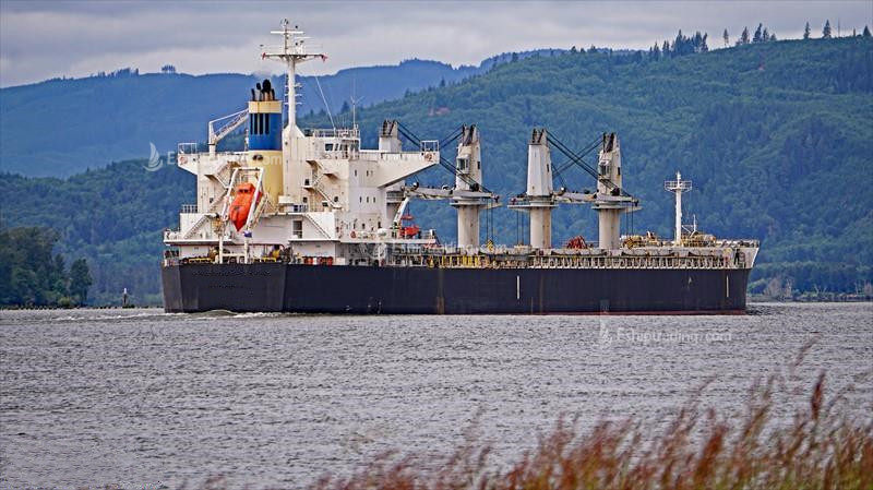56129 T Bulk Carrier For Sale