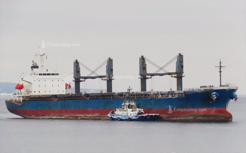 33126 T Bulk Carrier For Sale