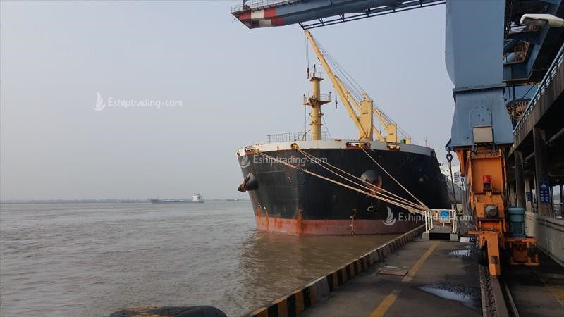 56892 T Bulk Carrier For Sale