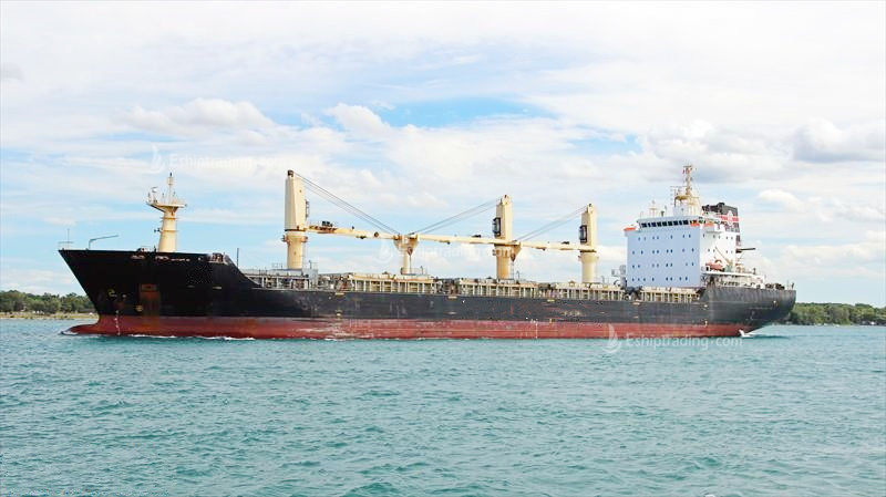 17080 T Bulk Carrier For Sale