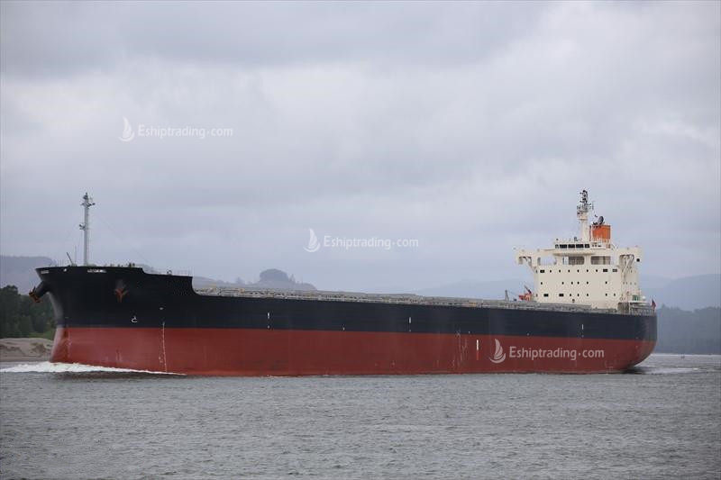 81949 T Bulk Carrier For Sale