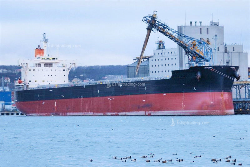 81949 T Bulk Carrier For Sale