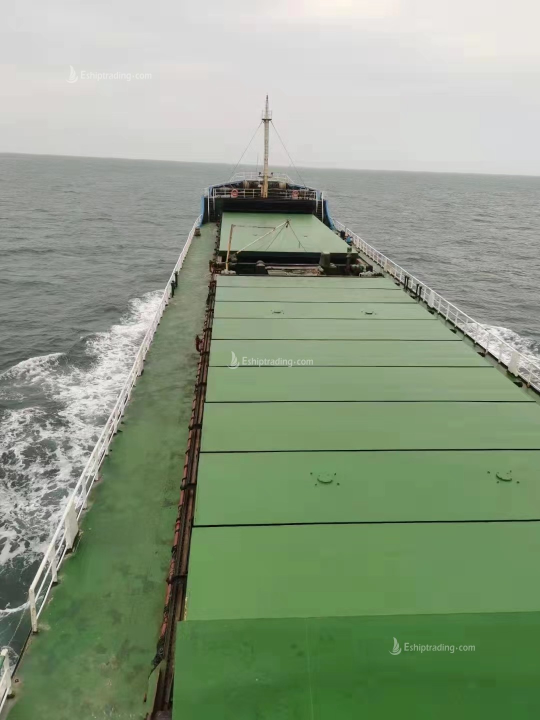 5019 T Bulk Carrier For Sale