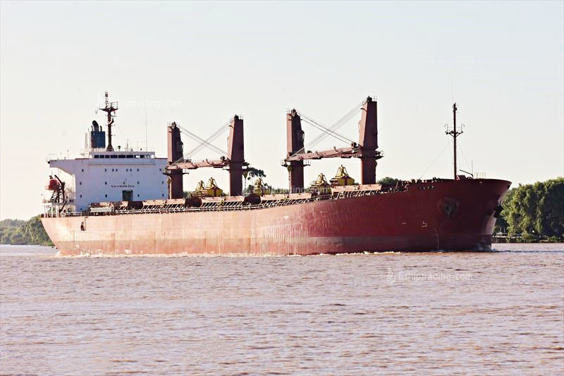 50913 T Bulk Carrier For Sale
