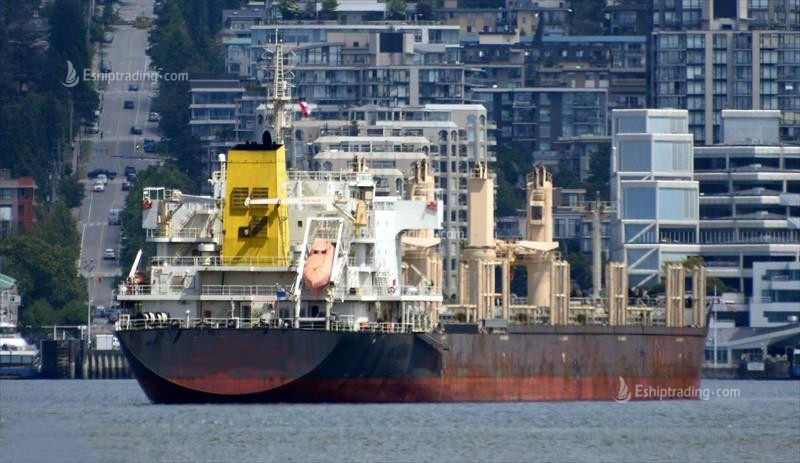 38896 T Bulk Carrier For Sale