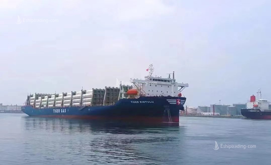 312 TEU Container Barge For Sale