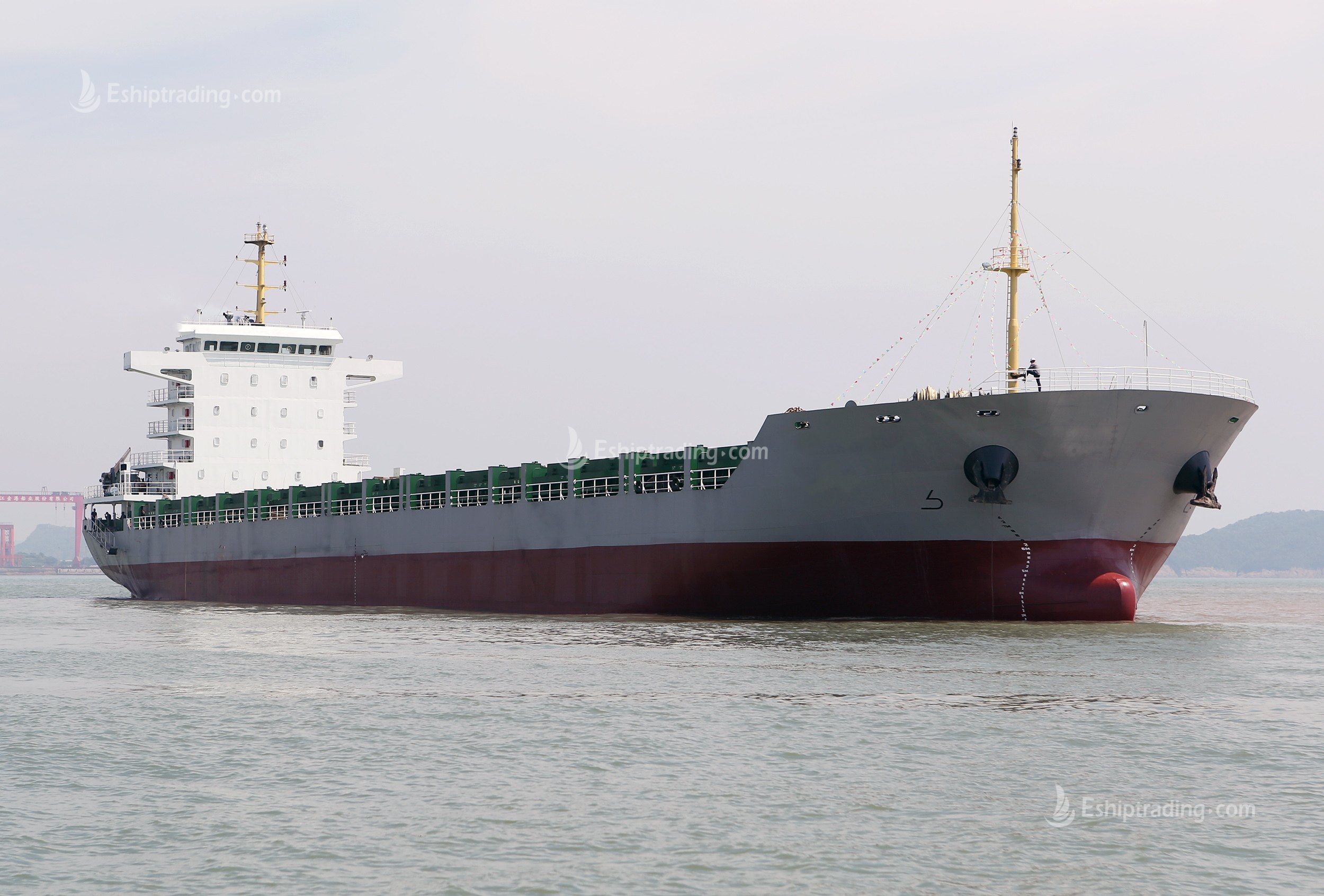 702 TEU Container Ship For Sale